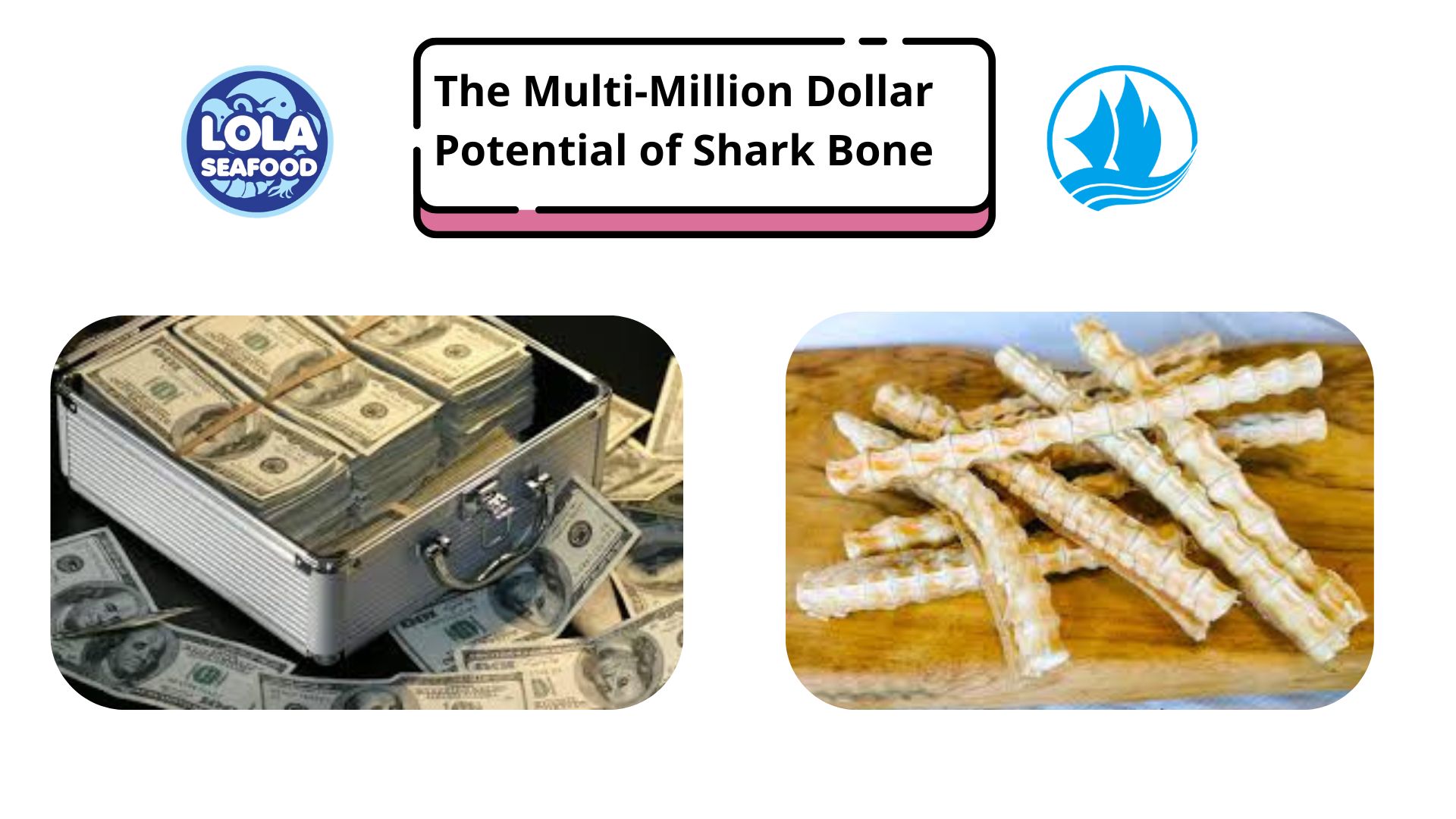 The Multi-Million Dollar Potential of Shark Bone